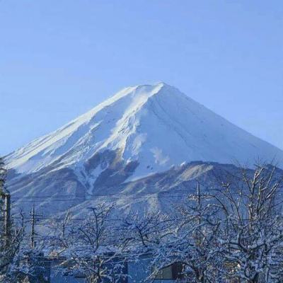 死神vs银魂bt变态版下载